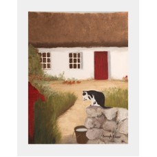 An Cat ag an Teachín